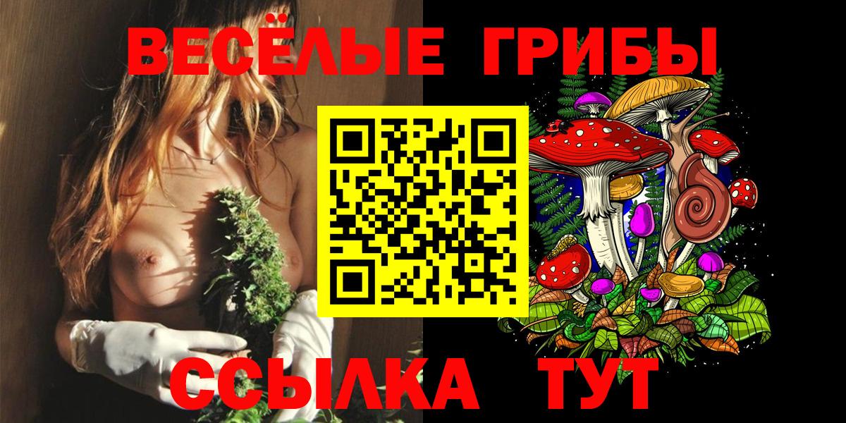 Галлюциногенные грибы Psilocybe  Вход с VPN  Отрадный 